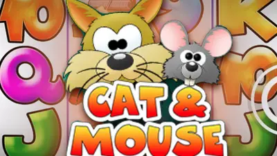 cat and mouse